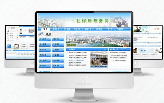 政府網(wǎng)站建設方案